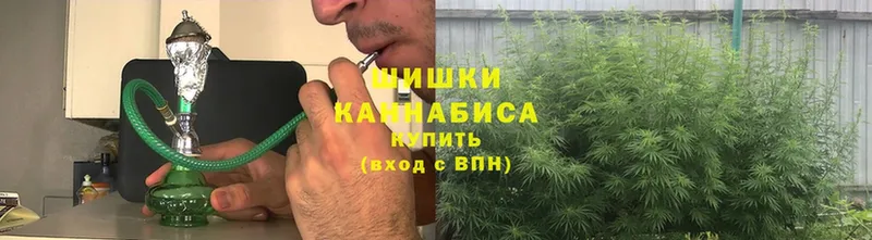 купить наркоту  Алейск  МАРИХУАНА White Widow 